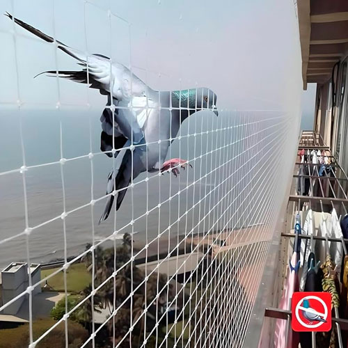 Welcome To Madhav Bird Net